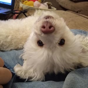 Meet your Posher, Michelle